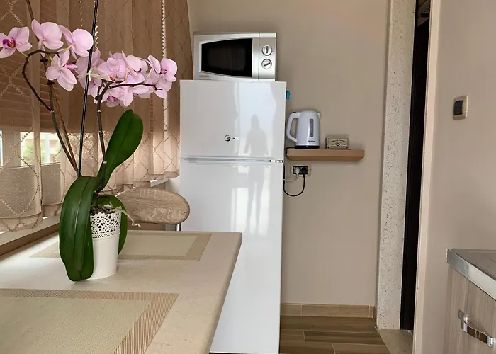 Emyteo * 特罗佩阿